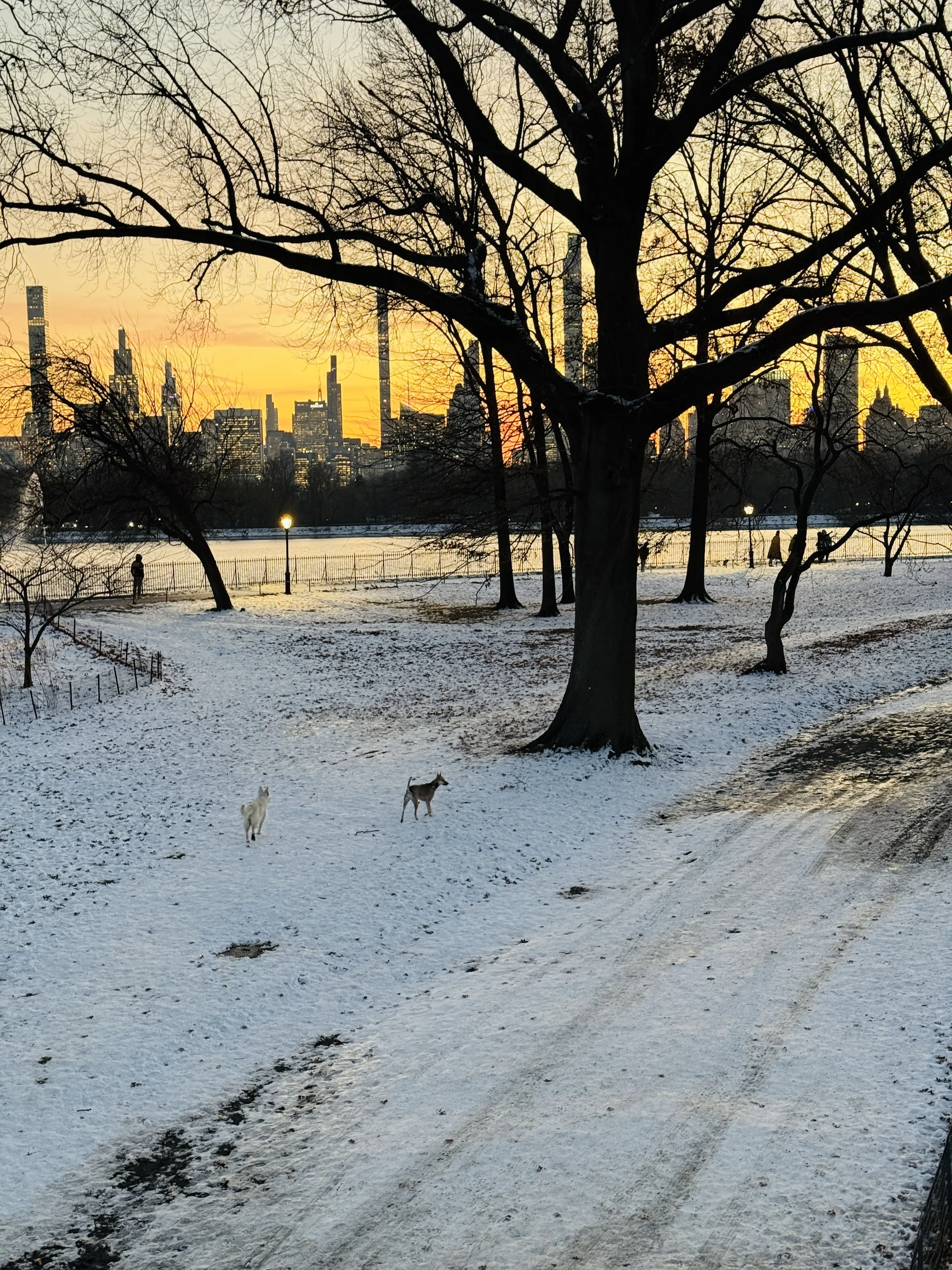 Photo from NYC Winter 2025