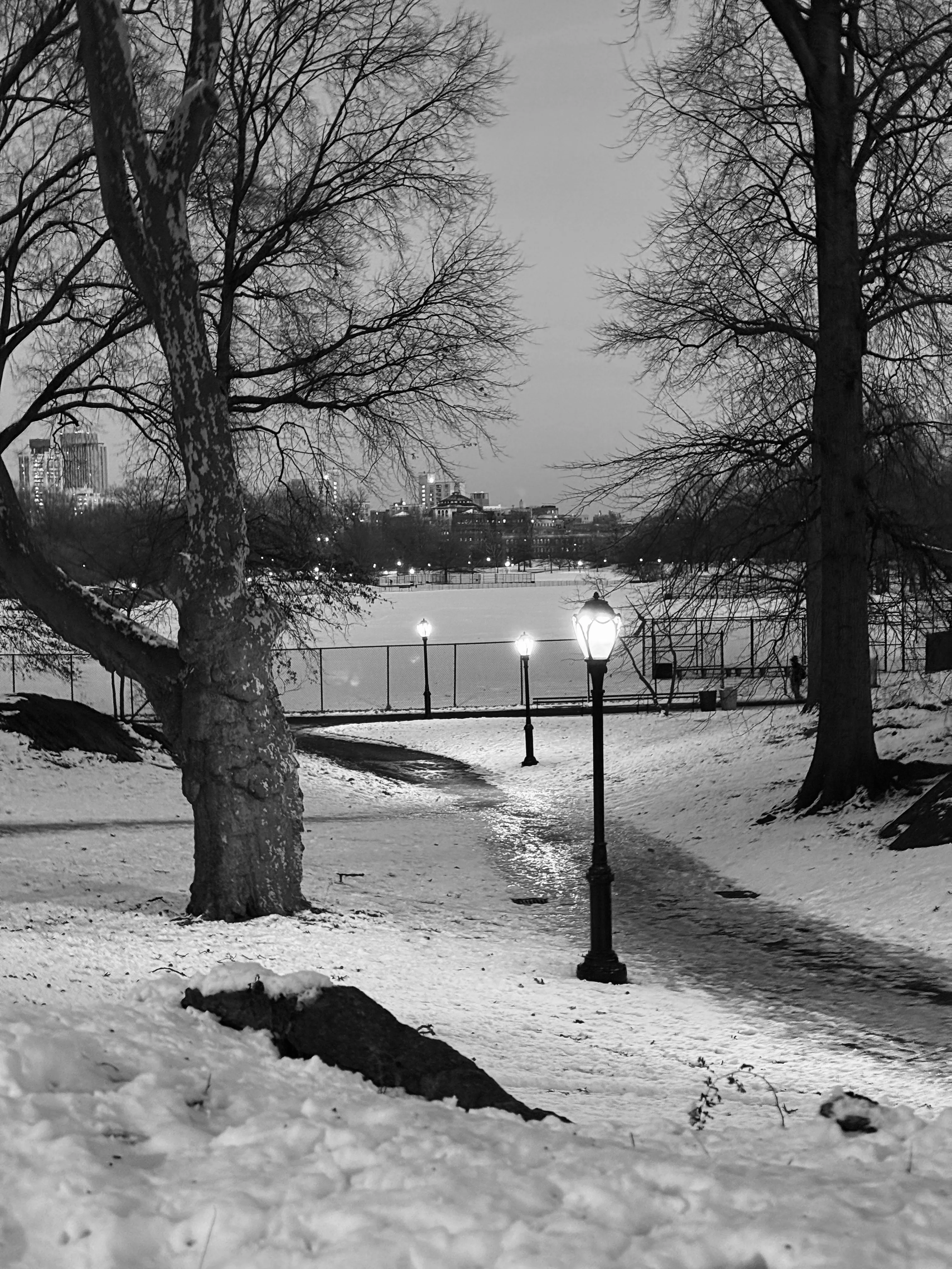 Photo from NYC Winter 2025