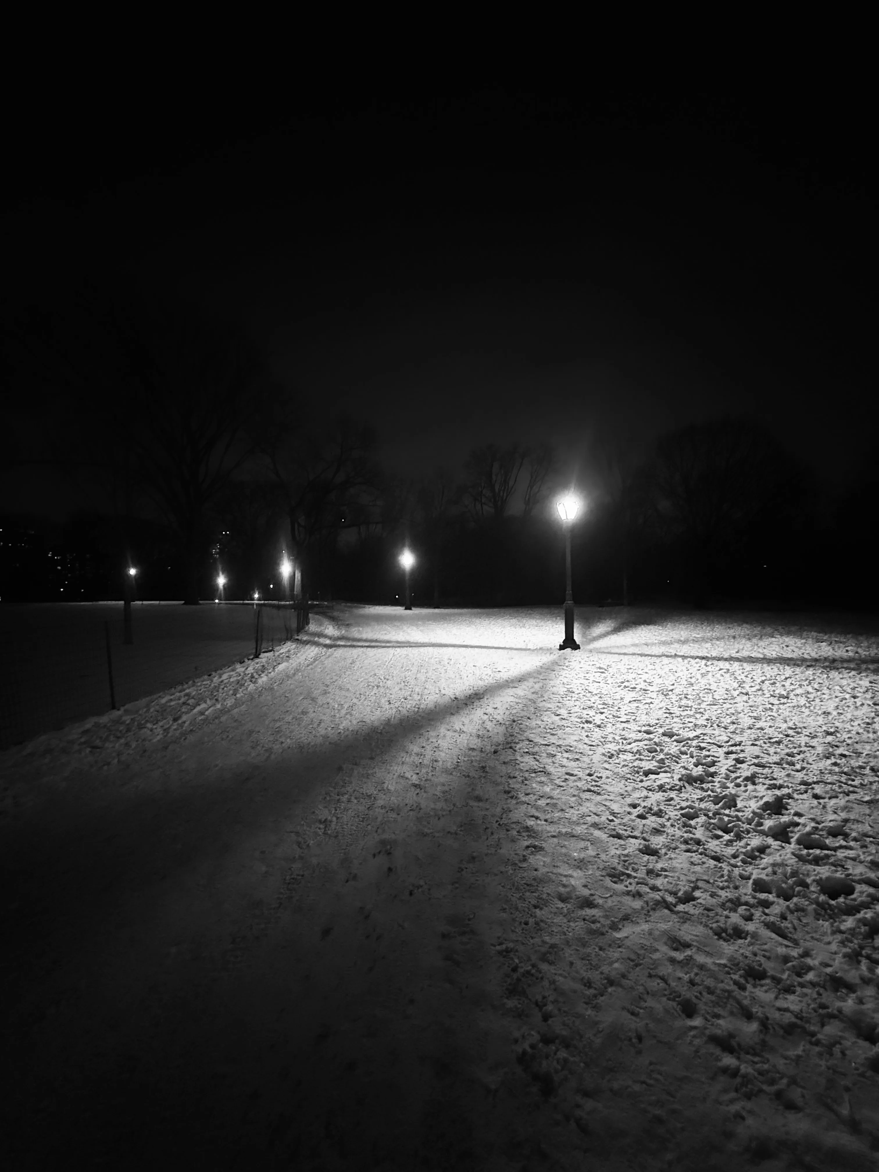 Photo from NYC Winter 2025